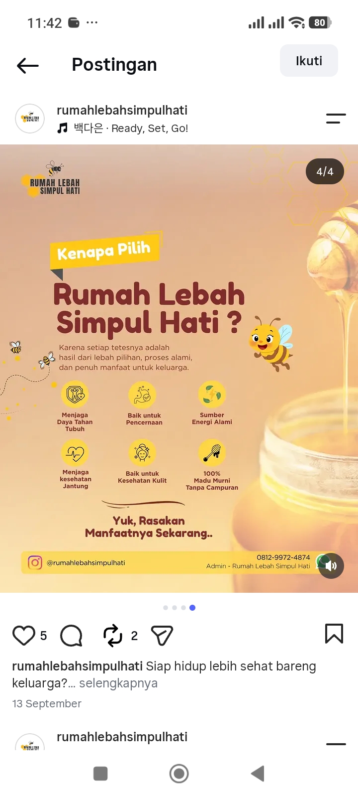 Honeycomb Sarang Madu Asli